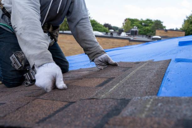 Professional Roofing Contractor in Coldwater, MI