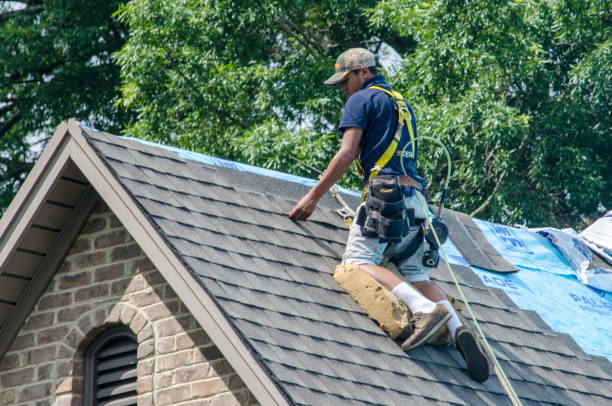 Best New Roof Installation  in Coldwater, MI
