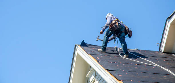 Best Roof Gutter Cleaning  in Coldwater, MI